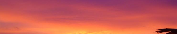 Sri Lanka Cosmetic Surgery